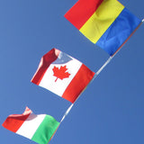 Large Flag Bunting 2015 Rugby World Cup