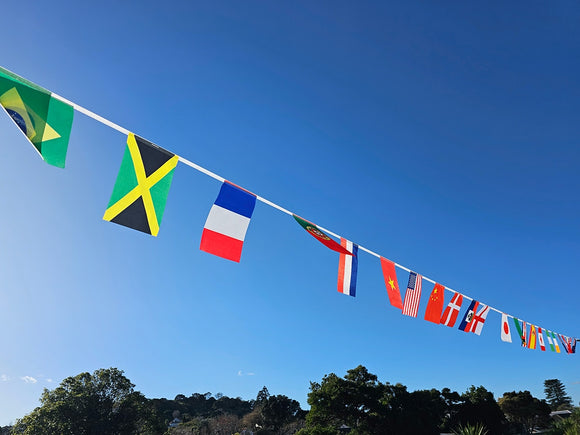 This Year's Women's World Cup Flag Bunting 10m 32 Teams